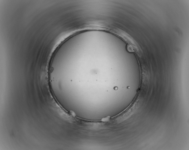 X0000111211192200907221144