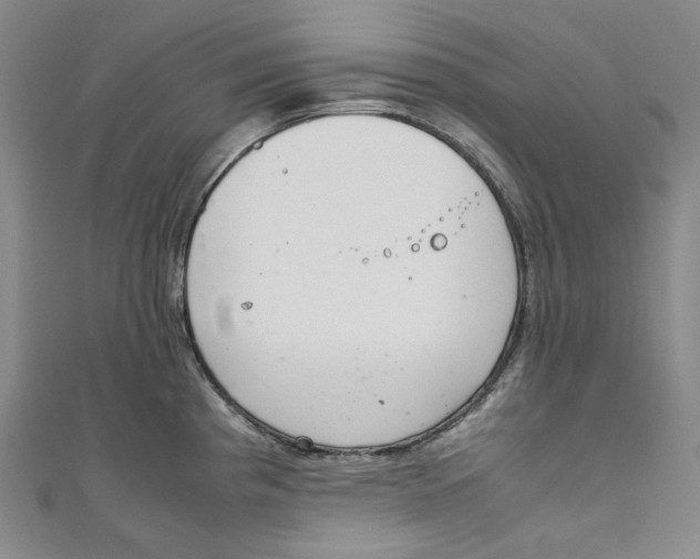 X0000111211193200907221144