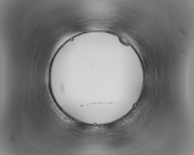 X0000111211195200907221144