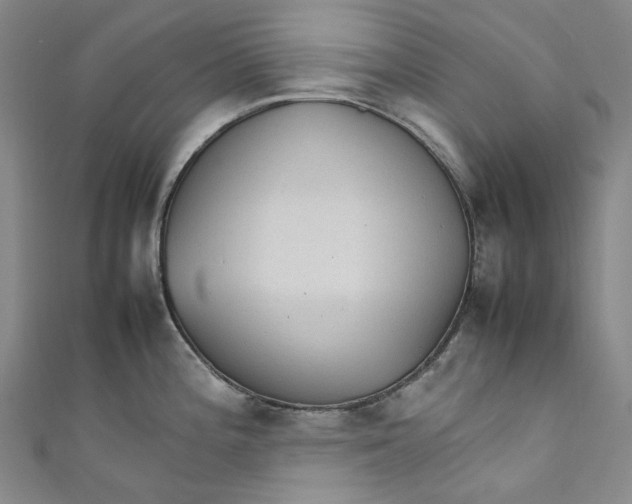 X0000111211196200907221144