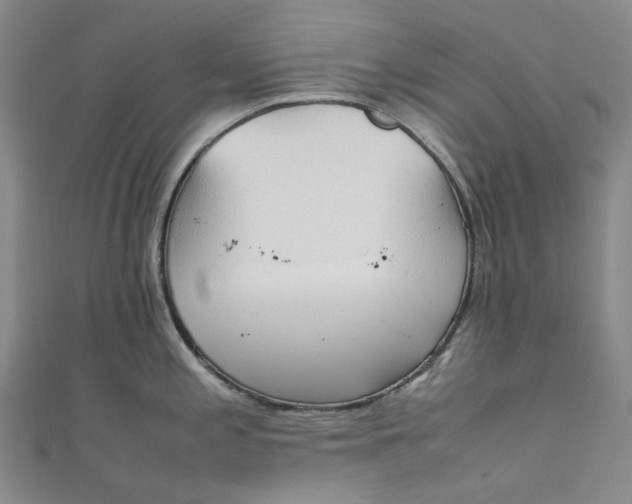 X0000111211197200907221144