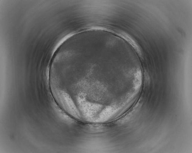 X0000111211198200907221144