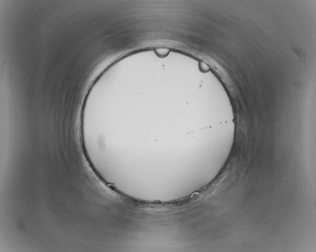 X0000111211199200907221144