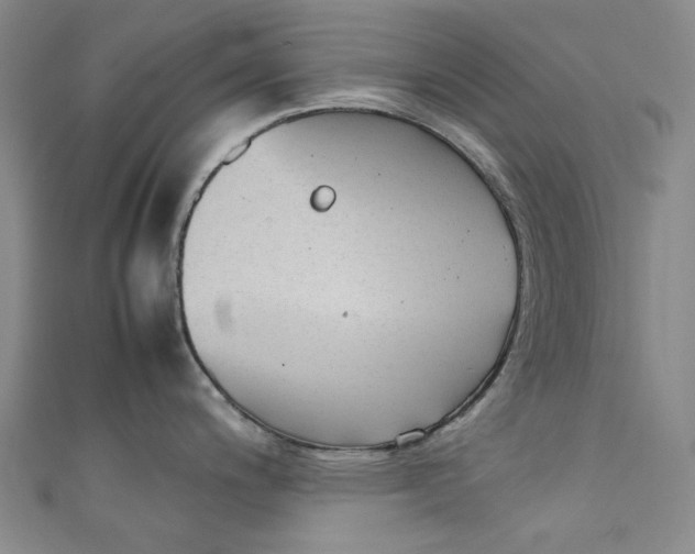 X0000111211200200907221144