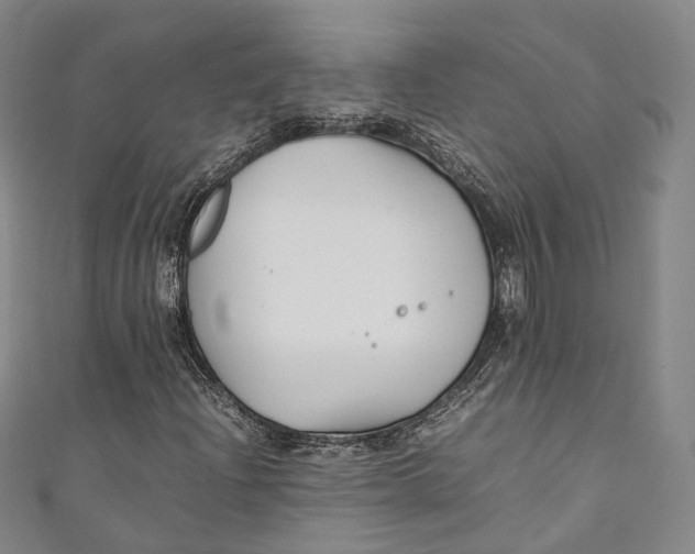 X0000111211204200907221143