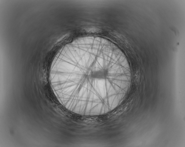 X0000111211205200907221143