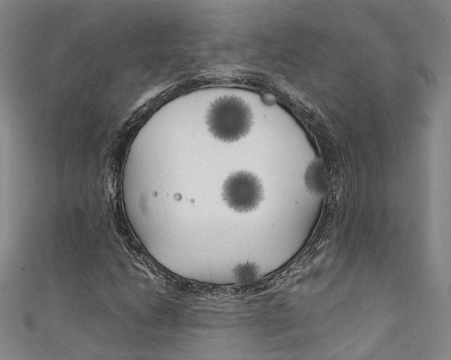 X0000111211206200907221144