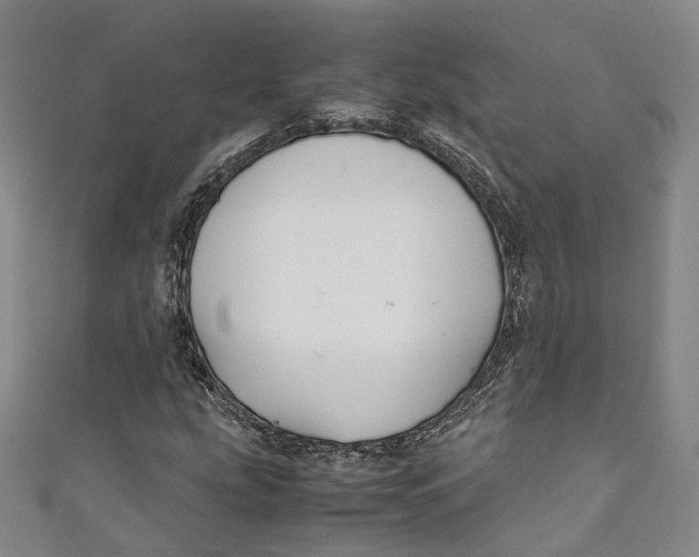 X0000111211207200907221144