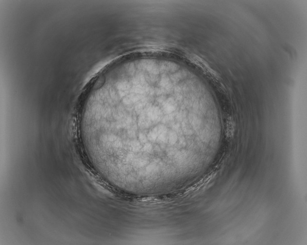 X0000111211208200907221144