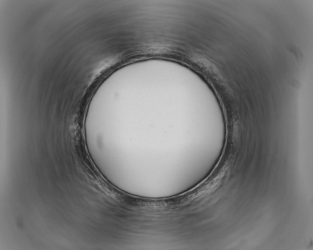 X0000111211210200907221144