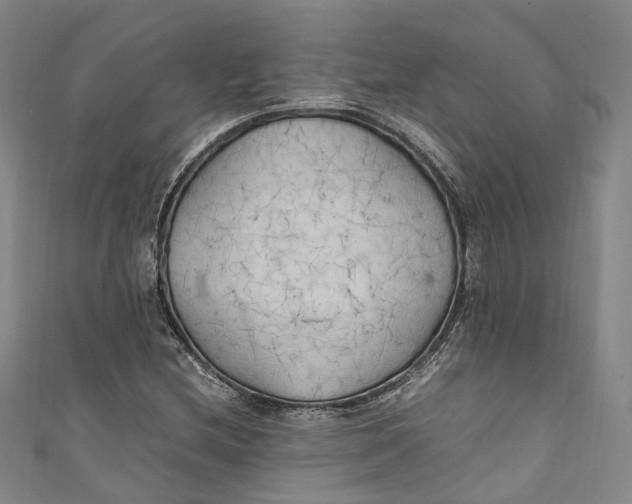 X0000111211212200907221144