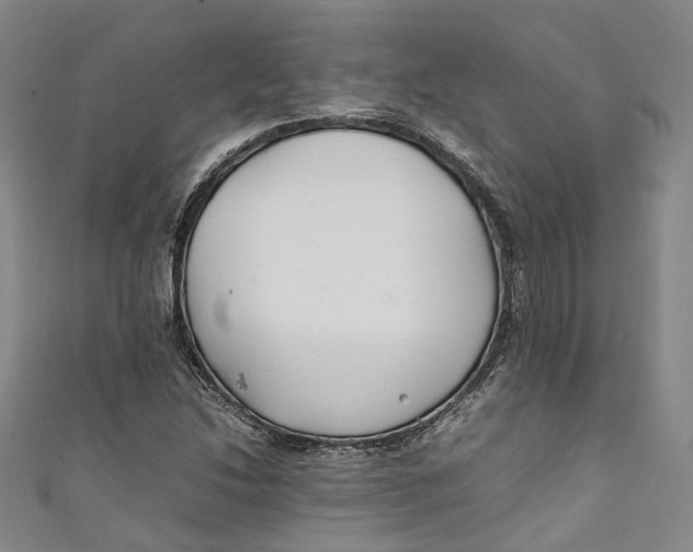 X0000111211214200907221144