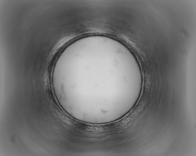 X0000111211215200907221144