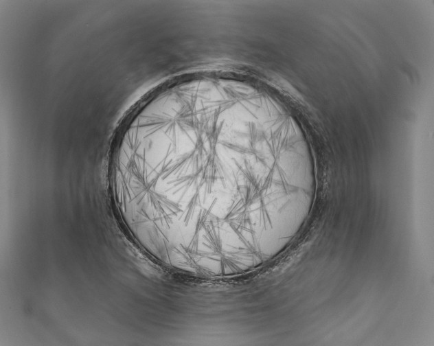 X0000111211216200907221144