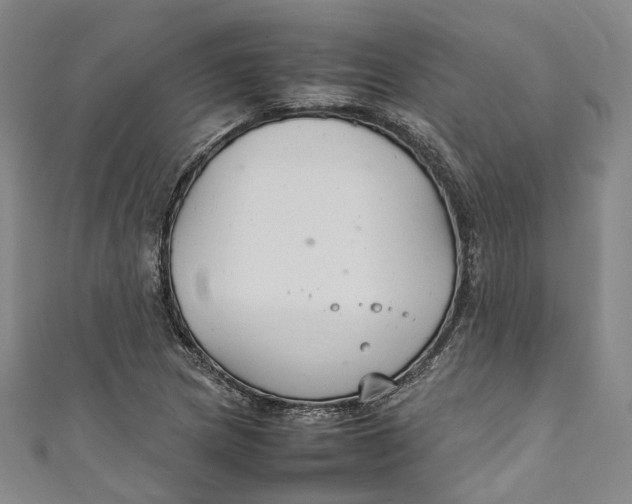 X0000111211217200907221144