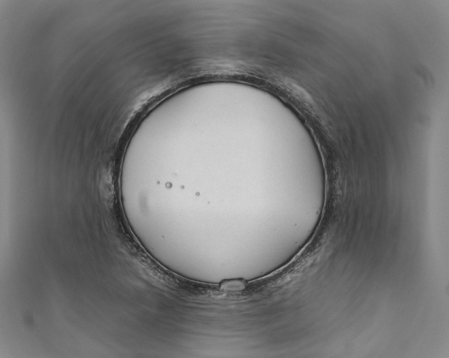 X0000111211218200907221144