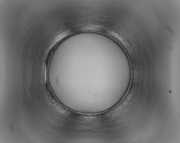 X0000111211219200907221144