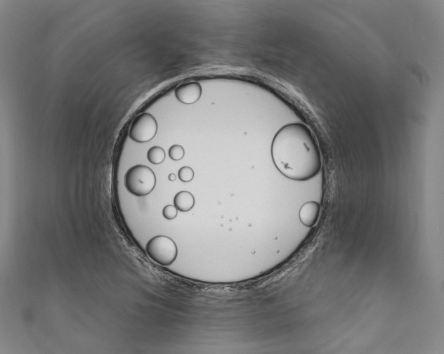 X0000111211220200907221144