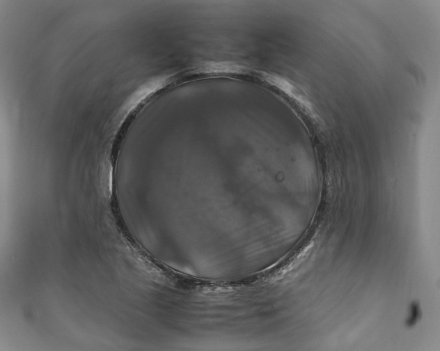 X0000111211221200907221144