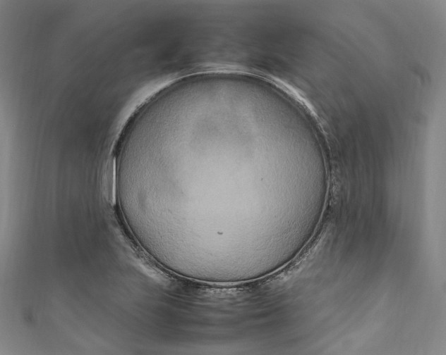 X0000111211223200907221144