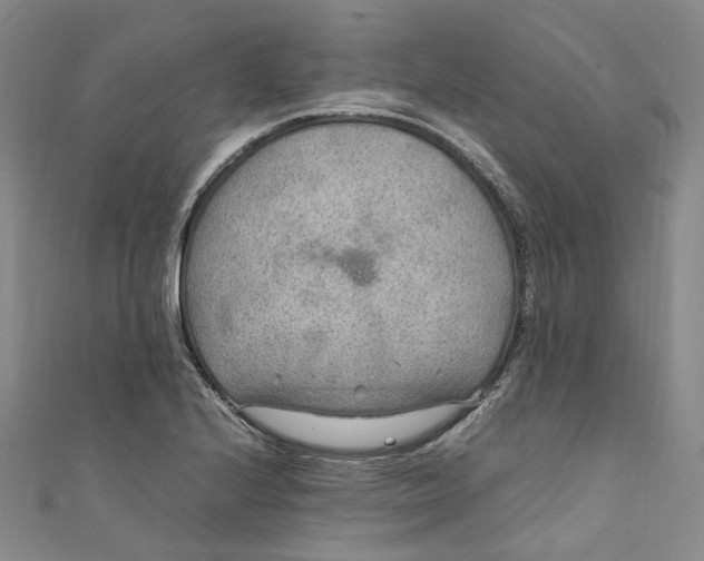 X0000111211224200907221144