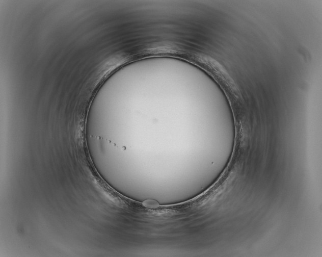 X0000111211225200907221144