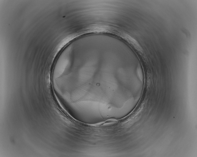 X0000111211226200907221144