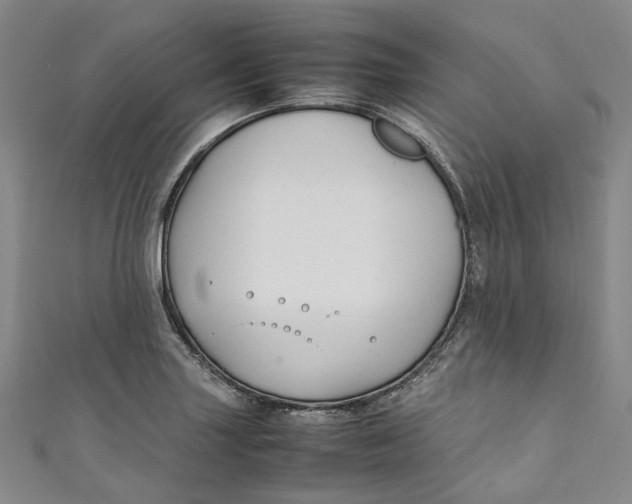 X0000111211227200907221144