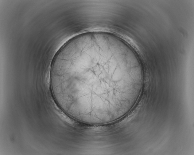 X0000111211228200907221144