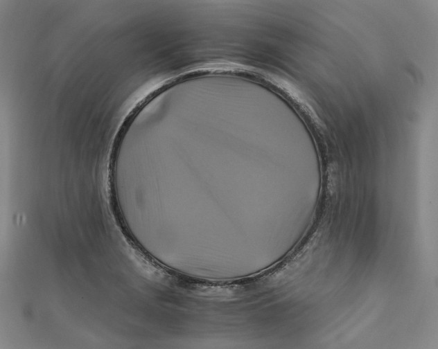 X0000111211229200907221144