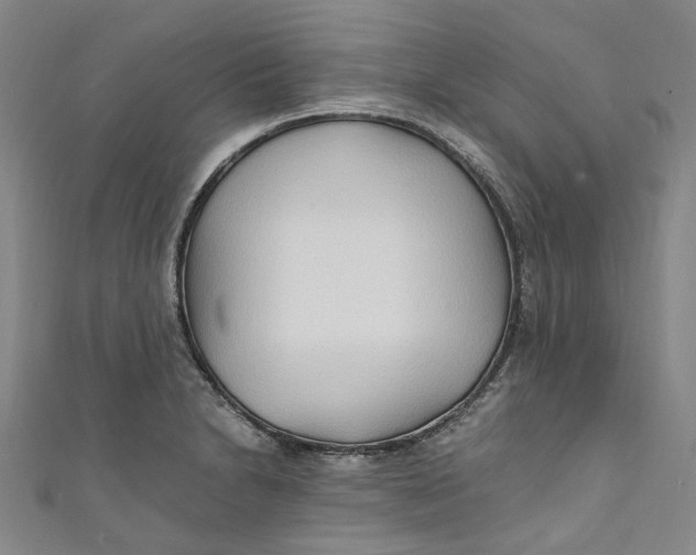 X0000111211230200907221144