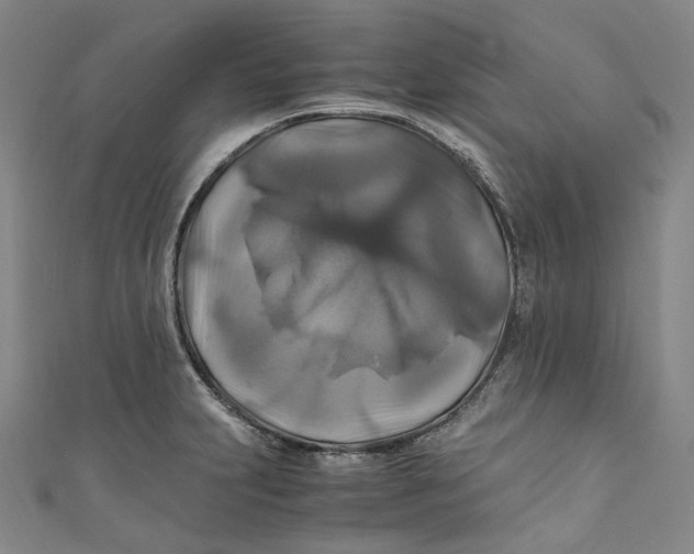 X0000111211231200907221144