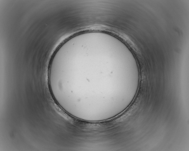 X0000111211232200907221144