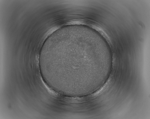 X0000111211233200907221144