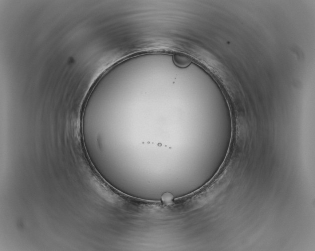 X0000111211234200907221144