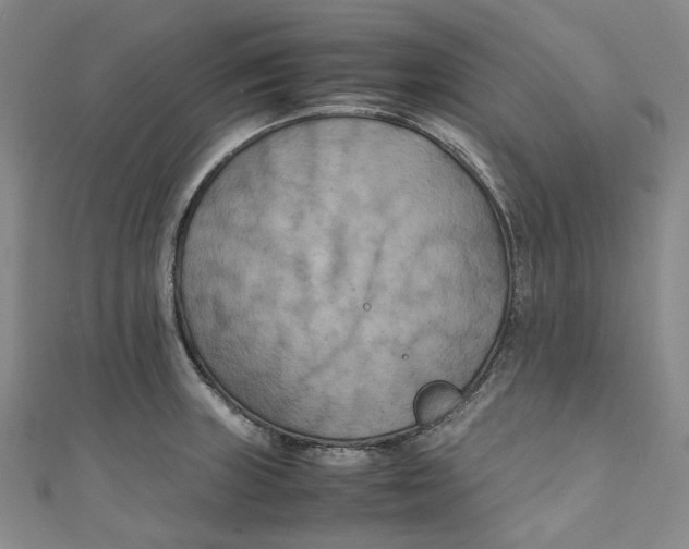 X0000111211235200907221144