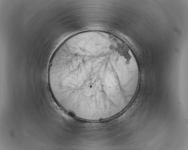 X0000111211236200907221144