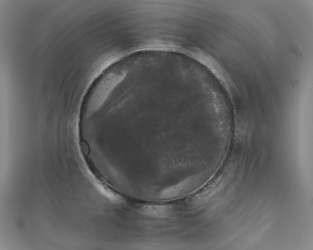 X0000111211237200907221144