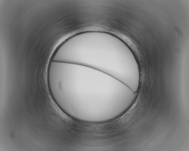 X0000111211238200907221144