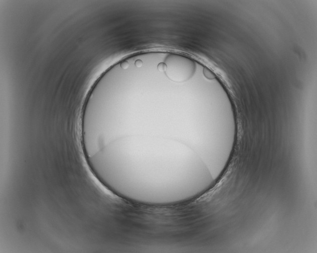 X0000111211239200907221144