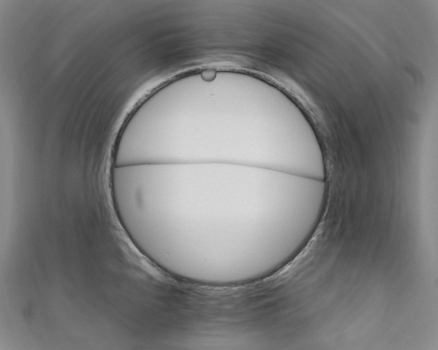 X0000111211240200907221144