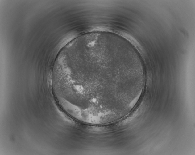 X0000111211241200907221144