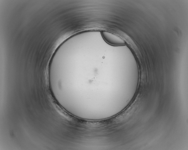 X0000111211242200907221144