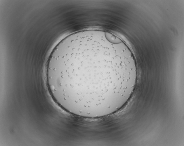 X0000111211243200907221144