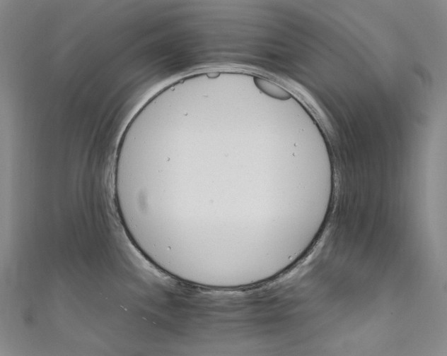 X0000111211244200907221144