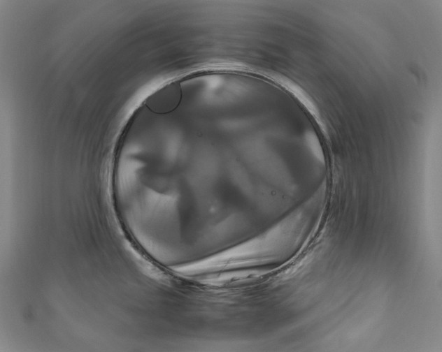 X0000111211245200907221144