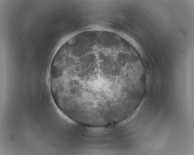 X0000111211247200907221144