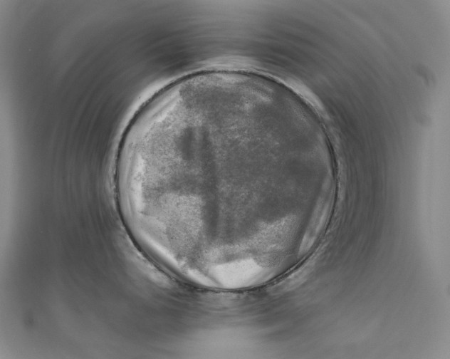 X0000111211248200907221144