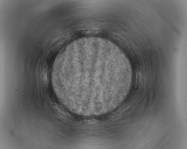 X0000111211250200907221143