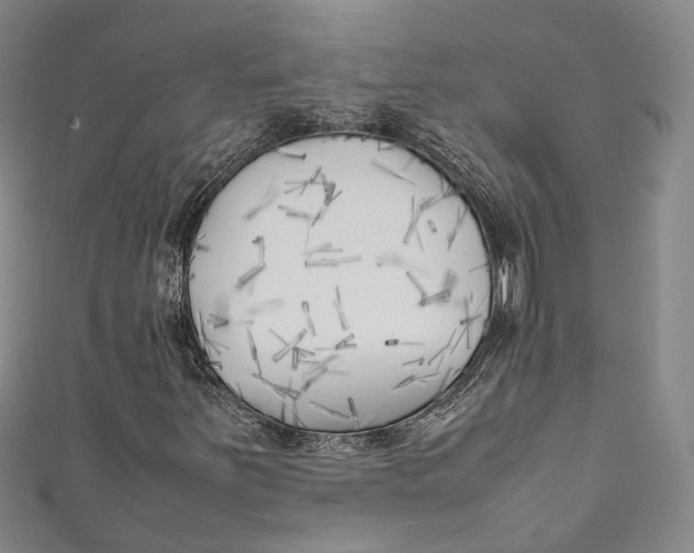 X0000111211251200907221143